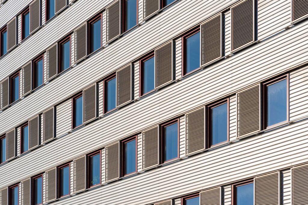 pexels photo 34382307.jpeg