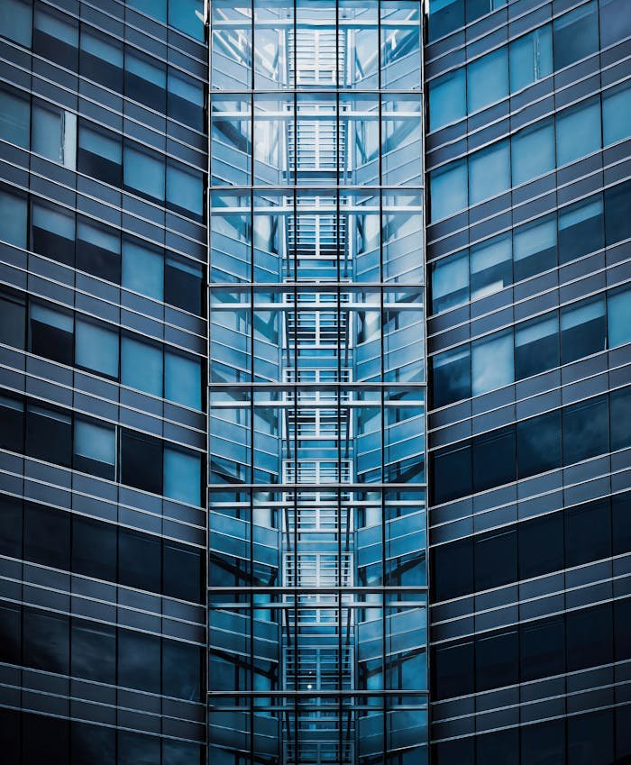 pexels photo 34642451.jpeg